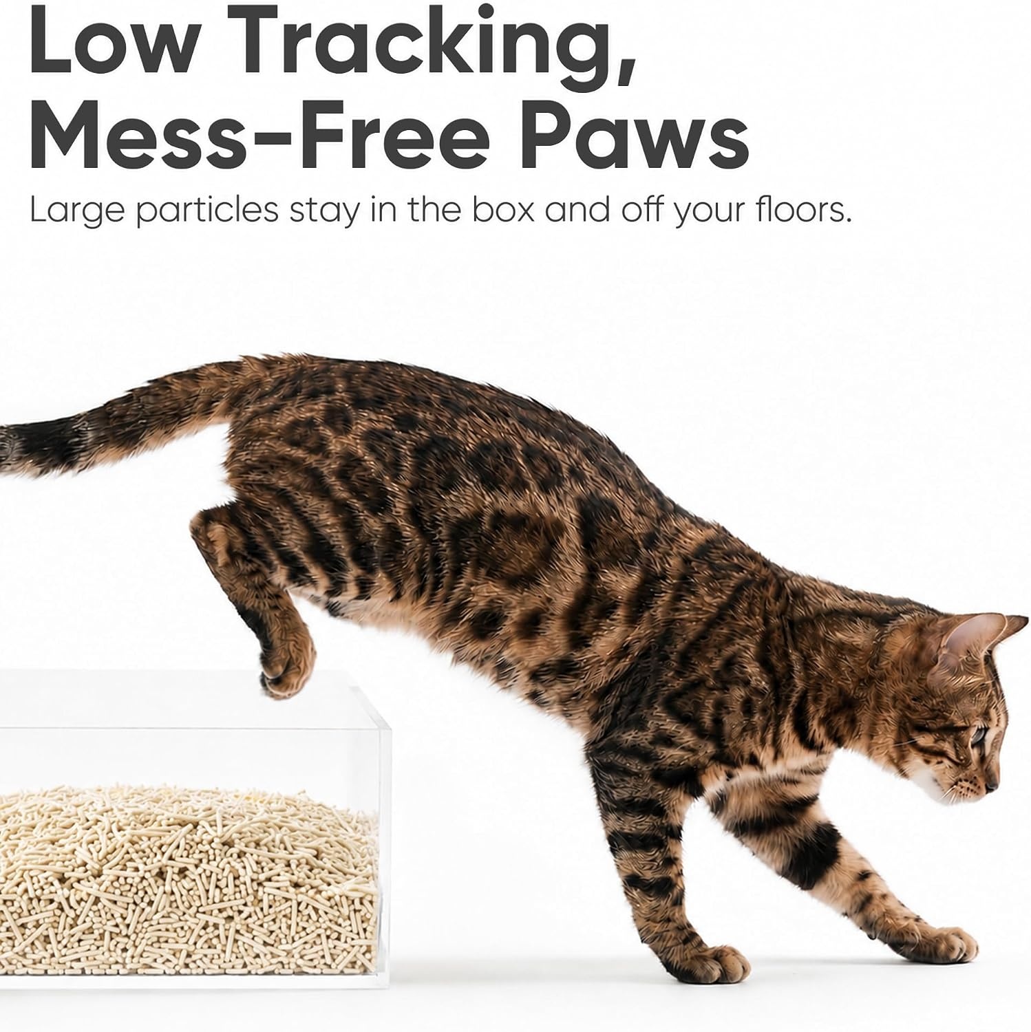 image:imageFUKUMARU Tofu Cat Litter Unscented PlantBased Clumping Low Dust 12 lb12lbs 6lb x 2 Bags